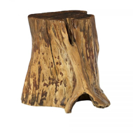 Picture of HIDDEN TREASURES TREE TRUNK ACCENT TABLE