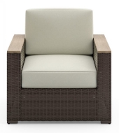 Picture of Palm Springs Outdoor Arm Chair by homestyles