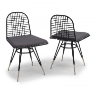 Picture of Du Juor Chair with Cushion (Set of 2) by homestyle
