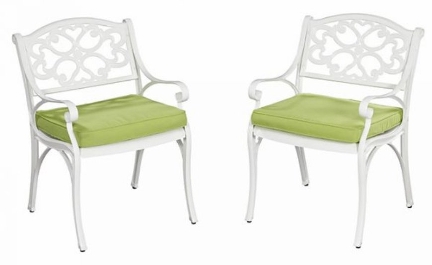 Picture of Sanibel Outdoor Chair Pair by homestyles