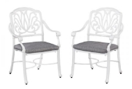 Picture of Capri Outdoor Chair Pair by homestyles