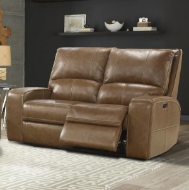 Picture of SWIFT POWER LOVESEAT