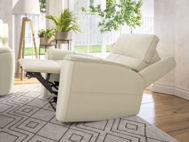 Picture of ELLIS POWER RECLINER WITH POWER HEADREST