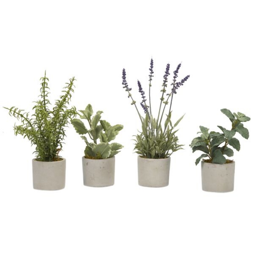 Picture of BASIL, ROSEMARY, LAVENDER AND MINT SPRAYS IN MINI CEMENT CYLINDER - SET OF 4
