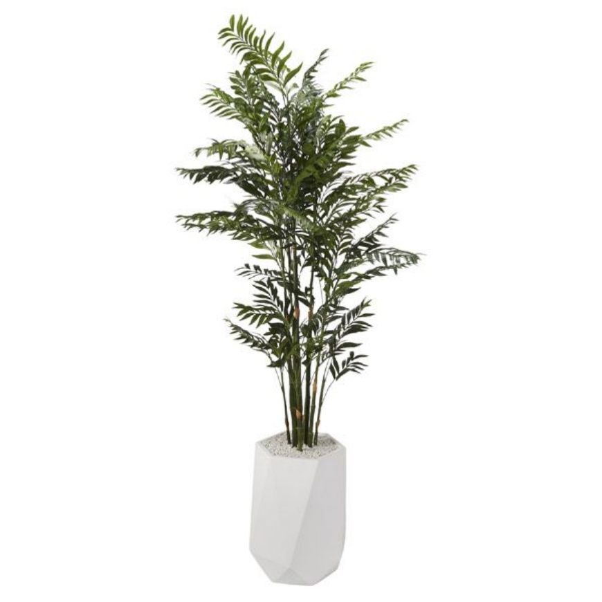 Picture of 8' DELUXE BAMBOO TREE IN WHITE RESIN PLANTER