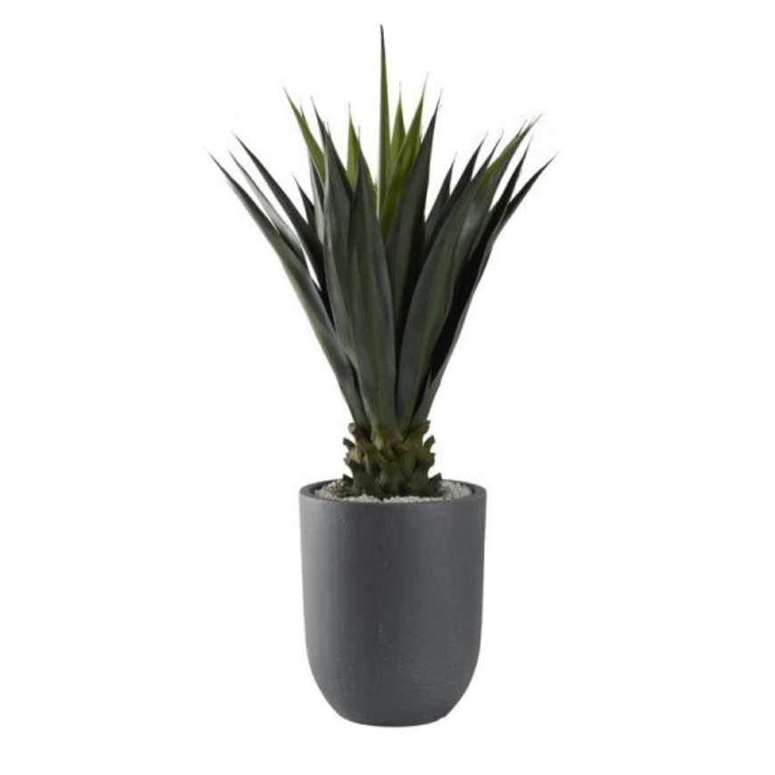 Picture of 50" JUMBO AGAVE PLANT IN SMALL ROUND GREY PLANTER