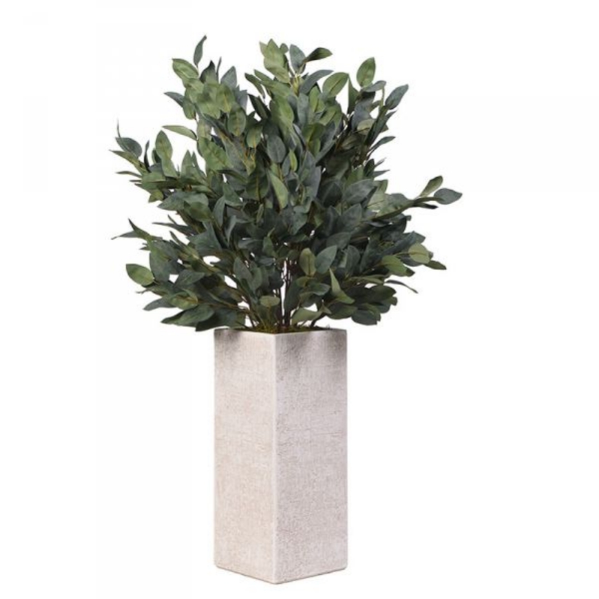 Picture of GREY/GREEN EUCALYPTUS IN TALL WHITE SQUARE TEXTURED PLANTER