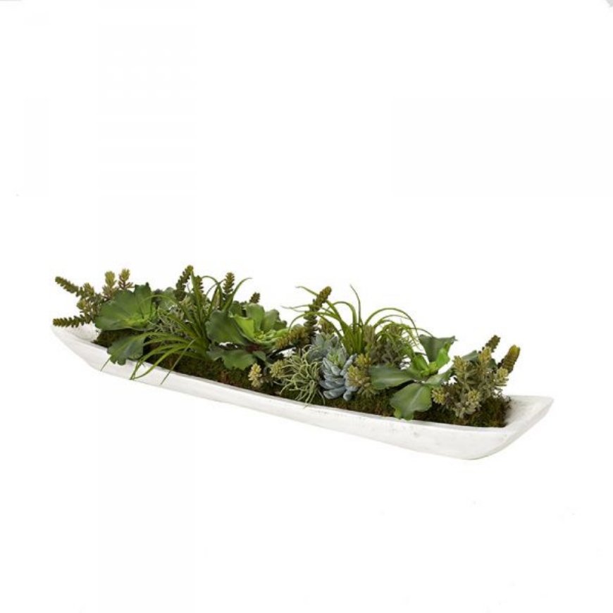 Picture of ASSORTED SUCCULENTS IN LONG WHITE WOOD TRAY