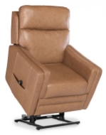 Picture of THYME LEATHER POWER LIFT RECLINER WITH POWER HEADREST AND LUMBAR